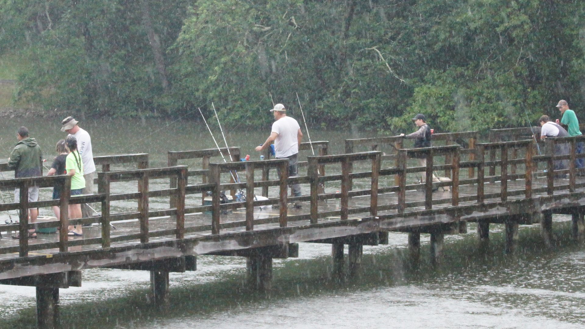 Bridge anglers